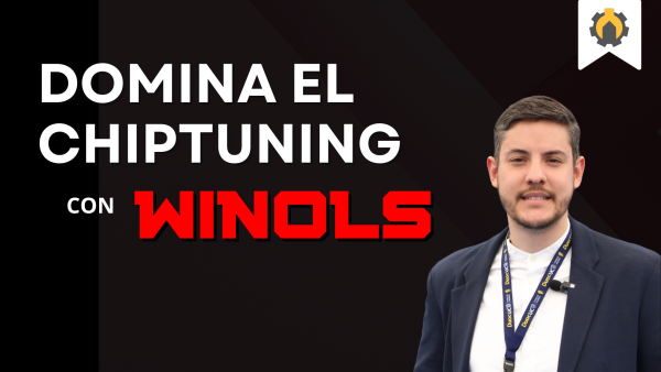 Winols – Nivel 3